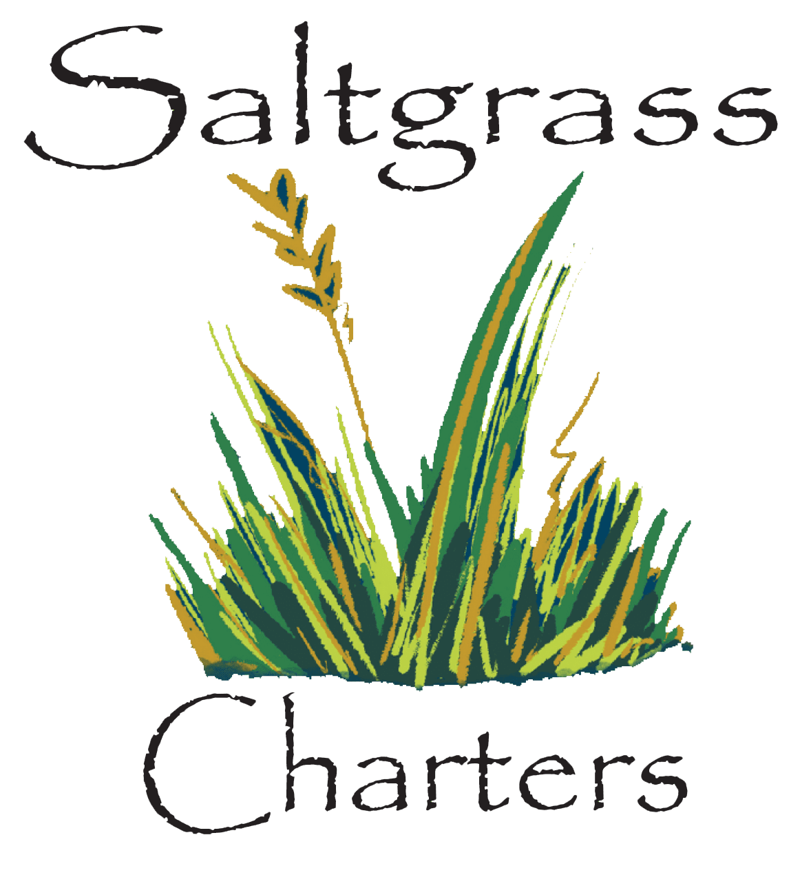 Saltgrass Charters
